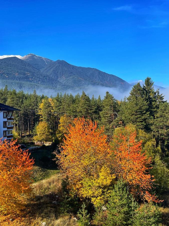 Park Hotel Panorama Banszko Kültér fotó
